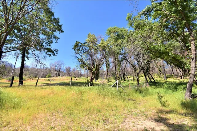 a view of a back yard