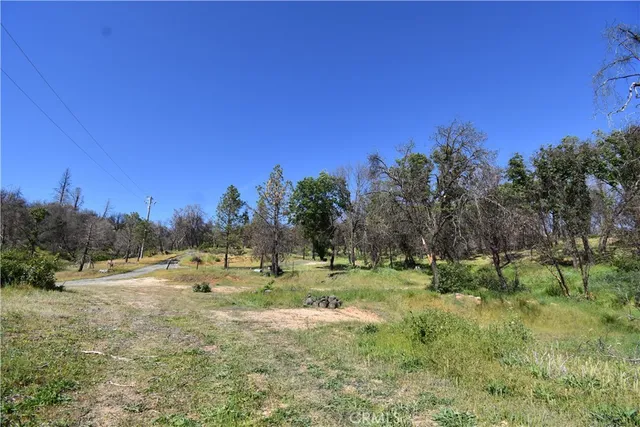 a view of large trees with a yard