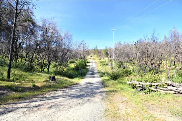 a view of a town with trees and buildings in the background
