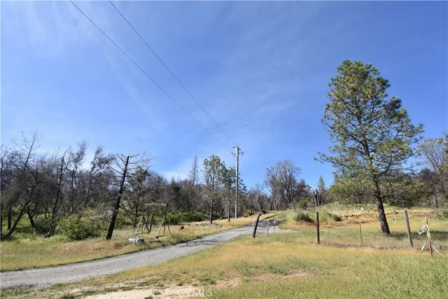 a view of a yard with a tree