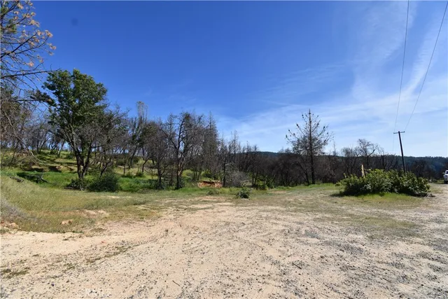 a view of outdoor space with trees all around