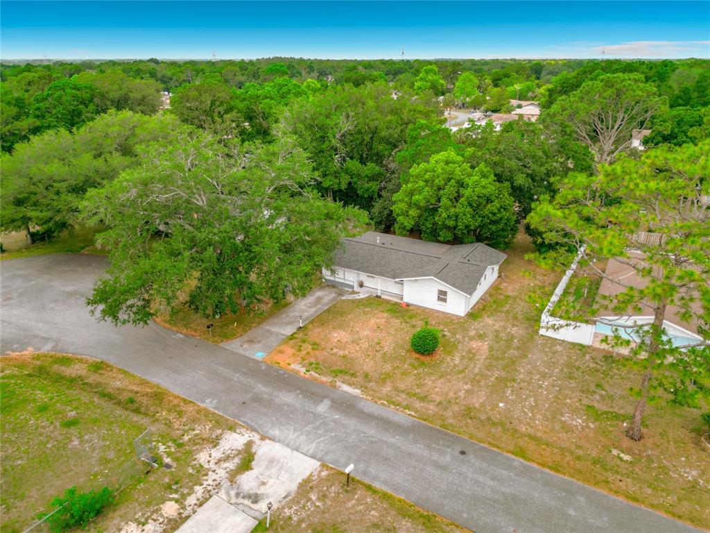 3 Bahia Pl Loop Ocala, FL 34472 - Photo 8 of 31 a view of a yard with plants