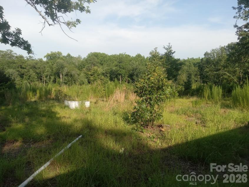 3328 Love Road Kershaw, SC 29067 - Photo 12 of 20