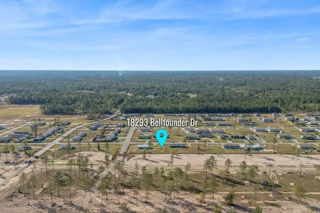 view of city and green space