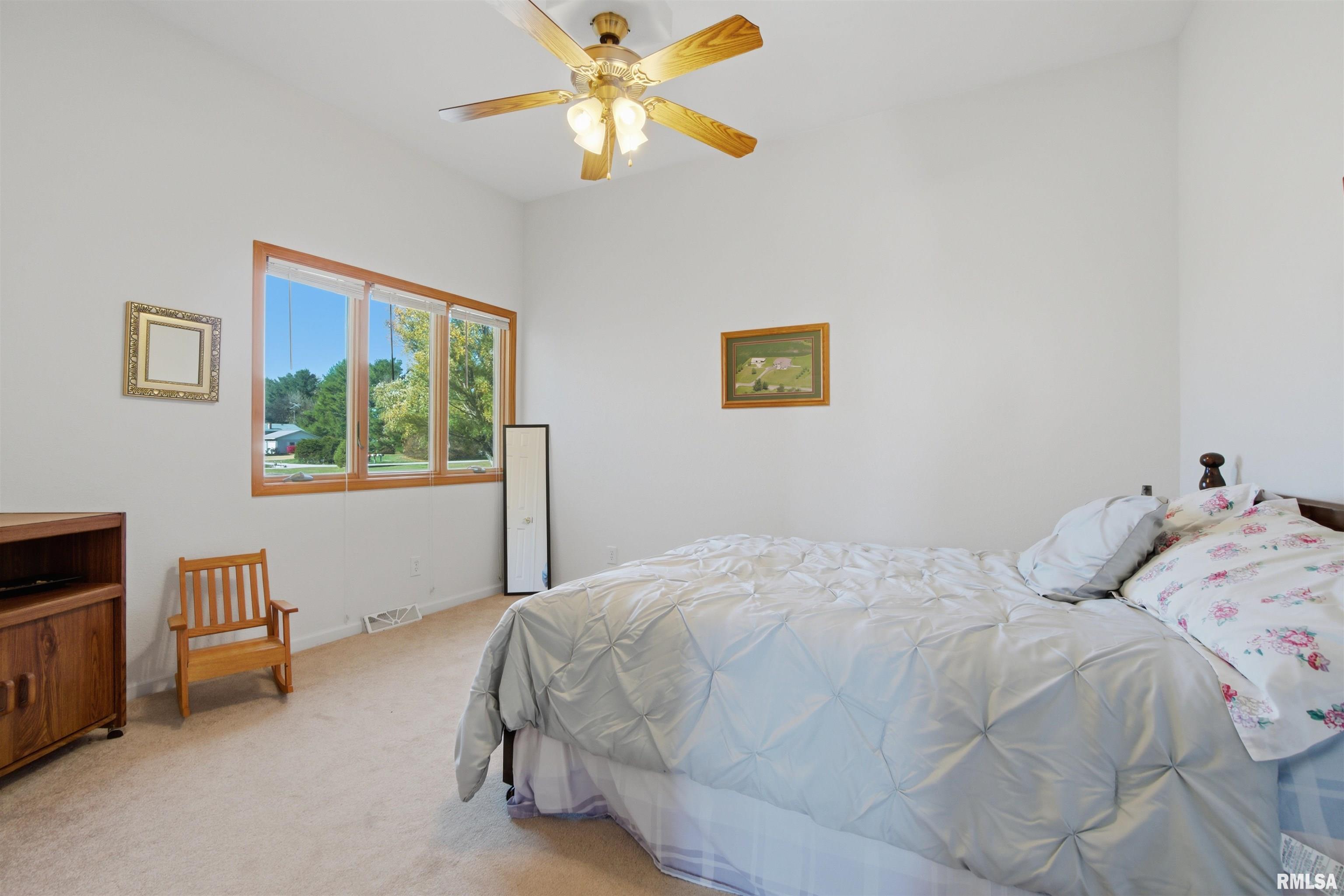 24211 North Carver Road Canton, IL 61520 - Photo 22 of 36