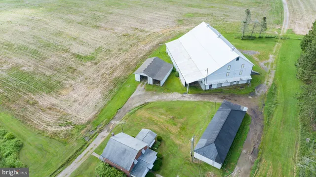 a huge green field with lots of trees