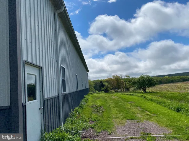 a view of backyard of house