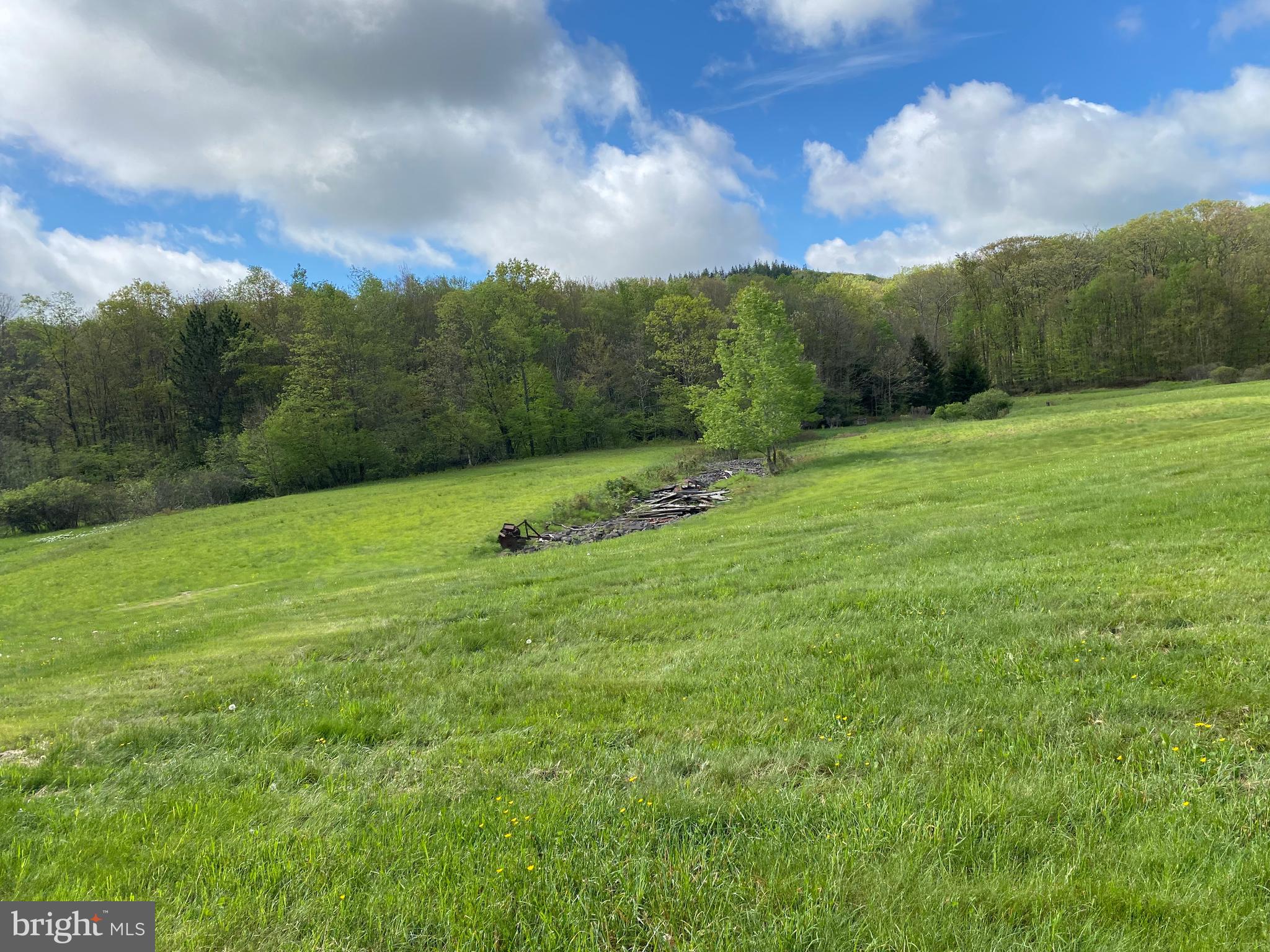 220 Dia School Road Grantsville, MD 21536 - Photo 41 of 90