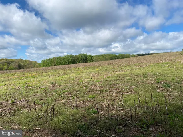 an aerial view of a house with swimming pool garden and trees