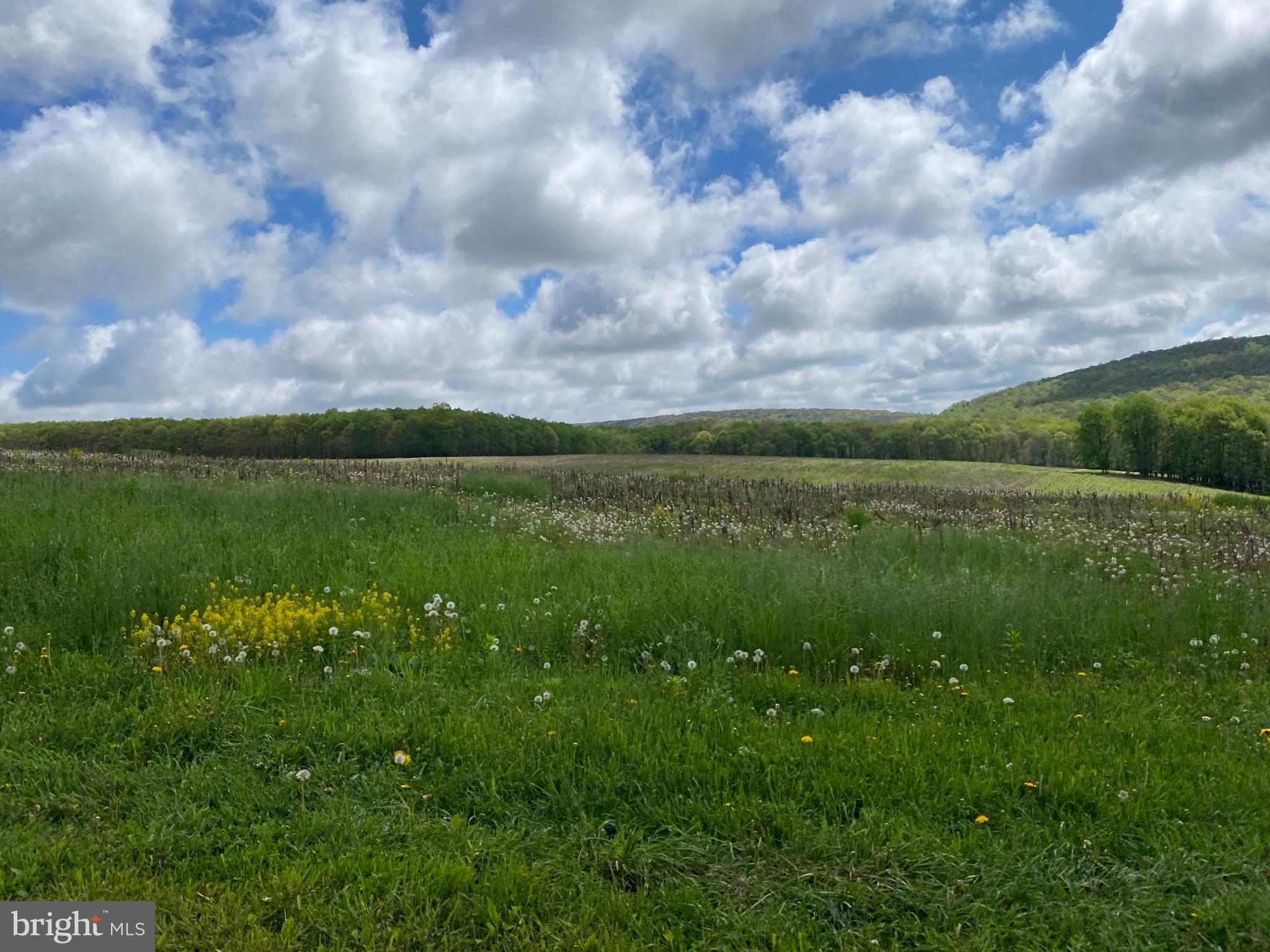 220 Dia School Road Grantsville, MD 21536 - Photo 53 of 90