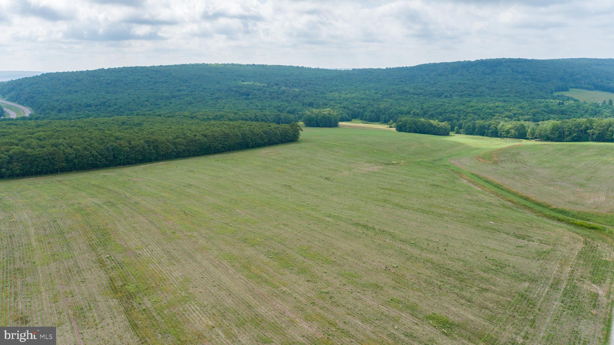 220 Dia School Road Grantsville, MD 21536 - Photo 77 of 90