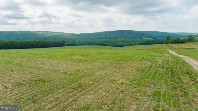 $2,500,000 | 220 Dia School Road, Grantsville, MD 21536