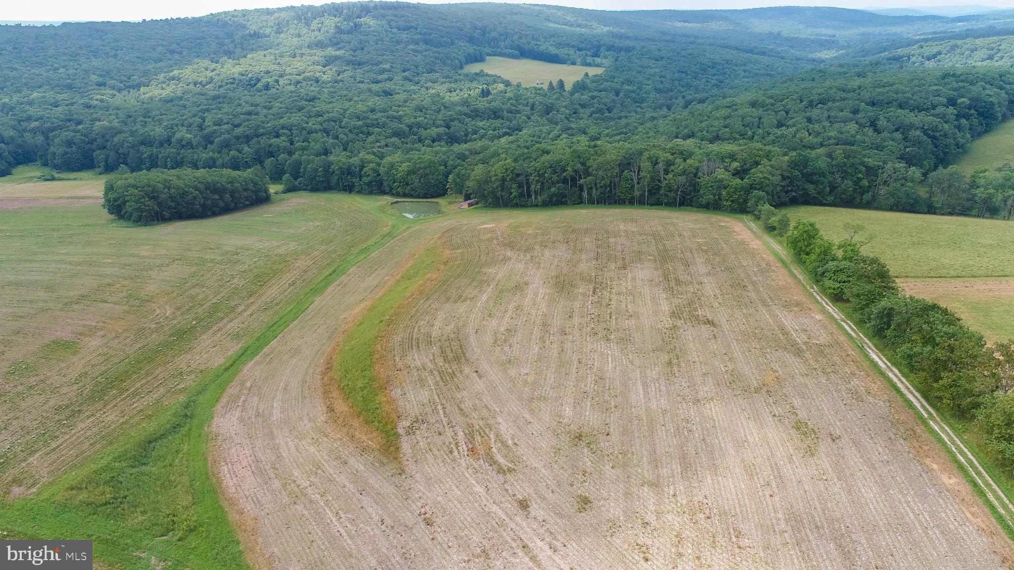 220 Dia School Road Grantsville, MD 21536 - Photo 81 of 90