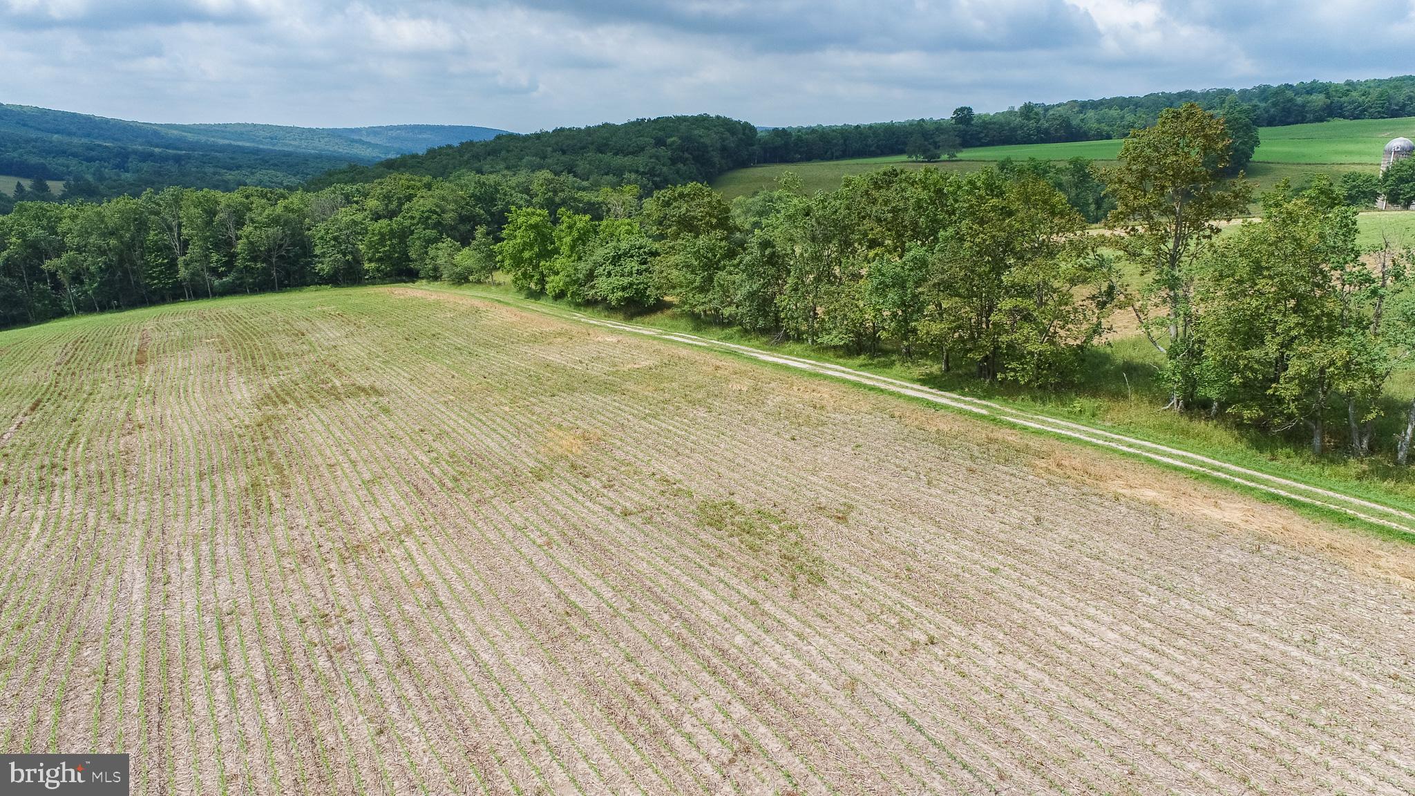 220 Dia School Road Grantsville, MD 21536 - Photo 83 of 90