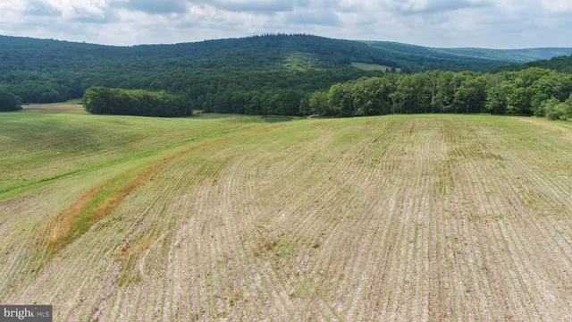 $2,500,000 | 220 Dia School Road, Grantsville, MD 21536