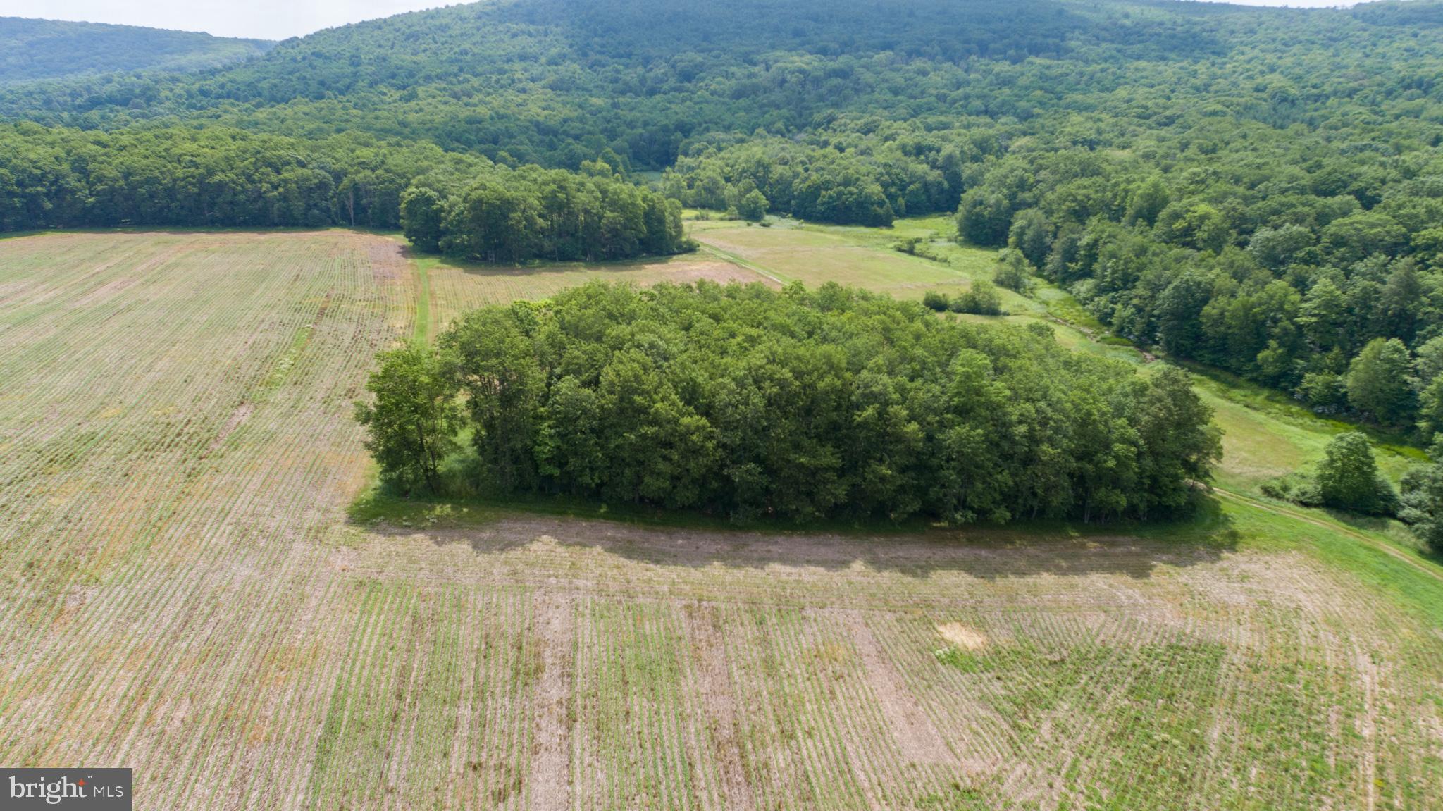 220 Dia School Road Grantsville, MD 21536 - Photo 86 of 90