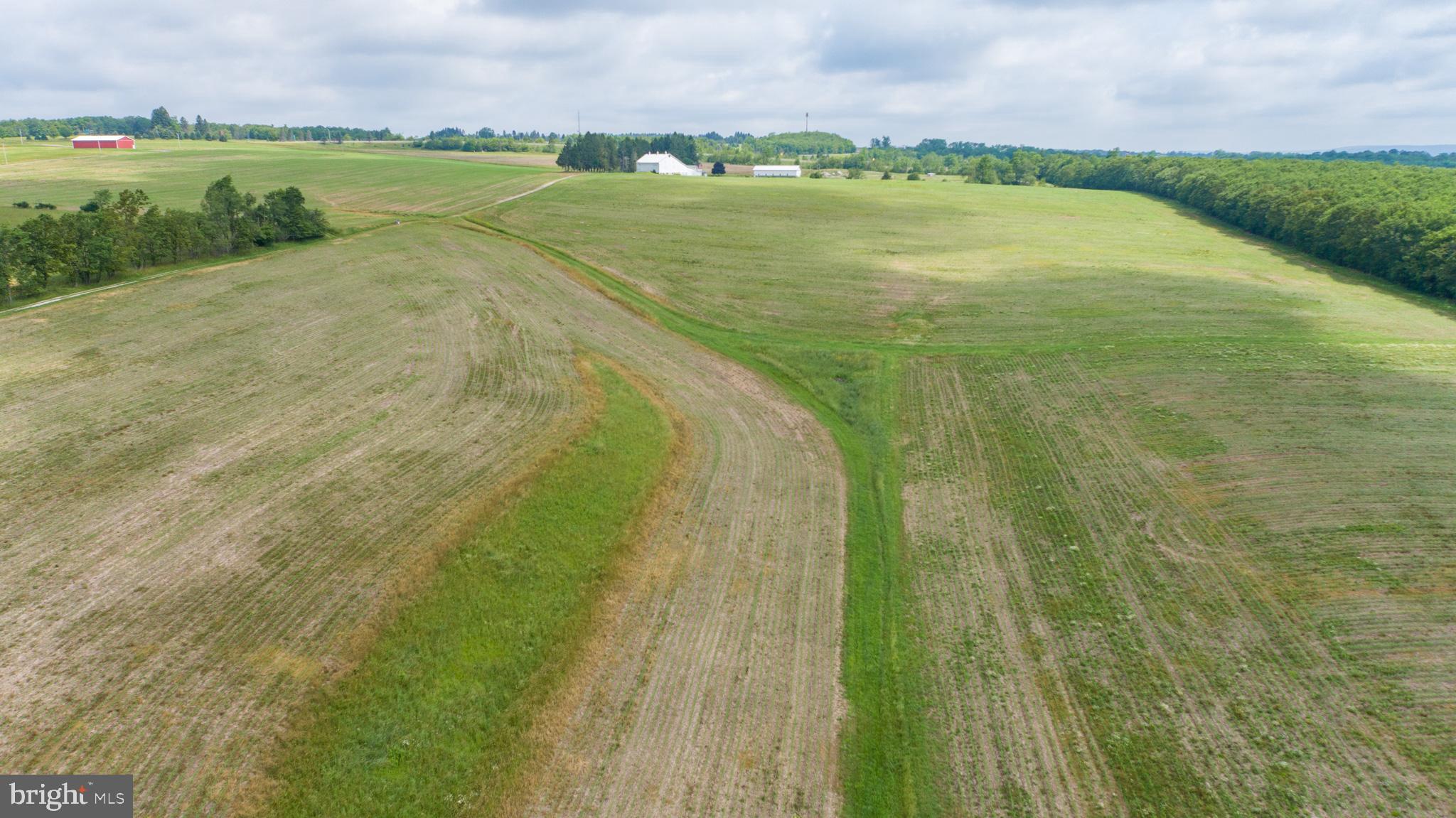 220 Dia School Road Grantsville, MD 21536 - Photo 87 of 90
