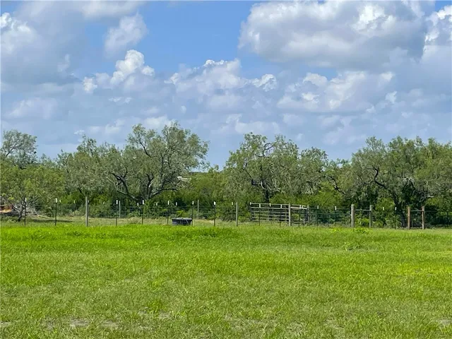 a view of a garden with wooden fence