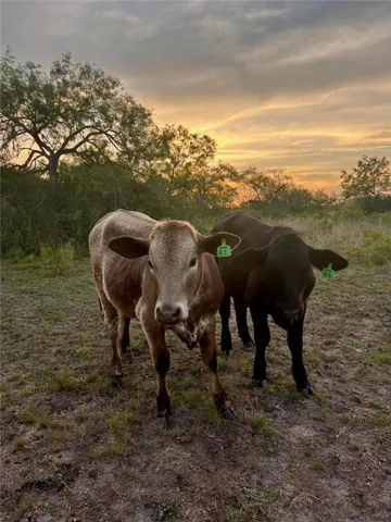 a front view of a house with a ocean view