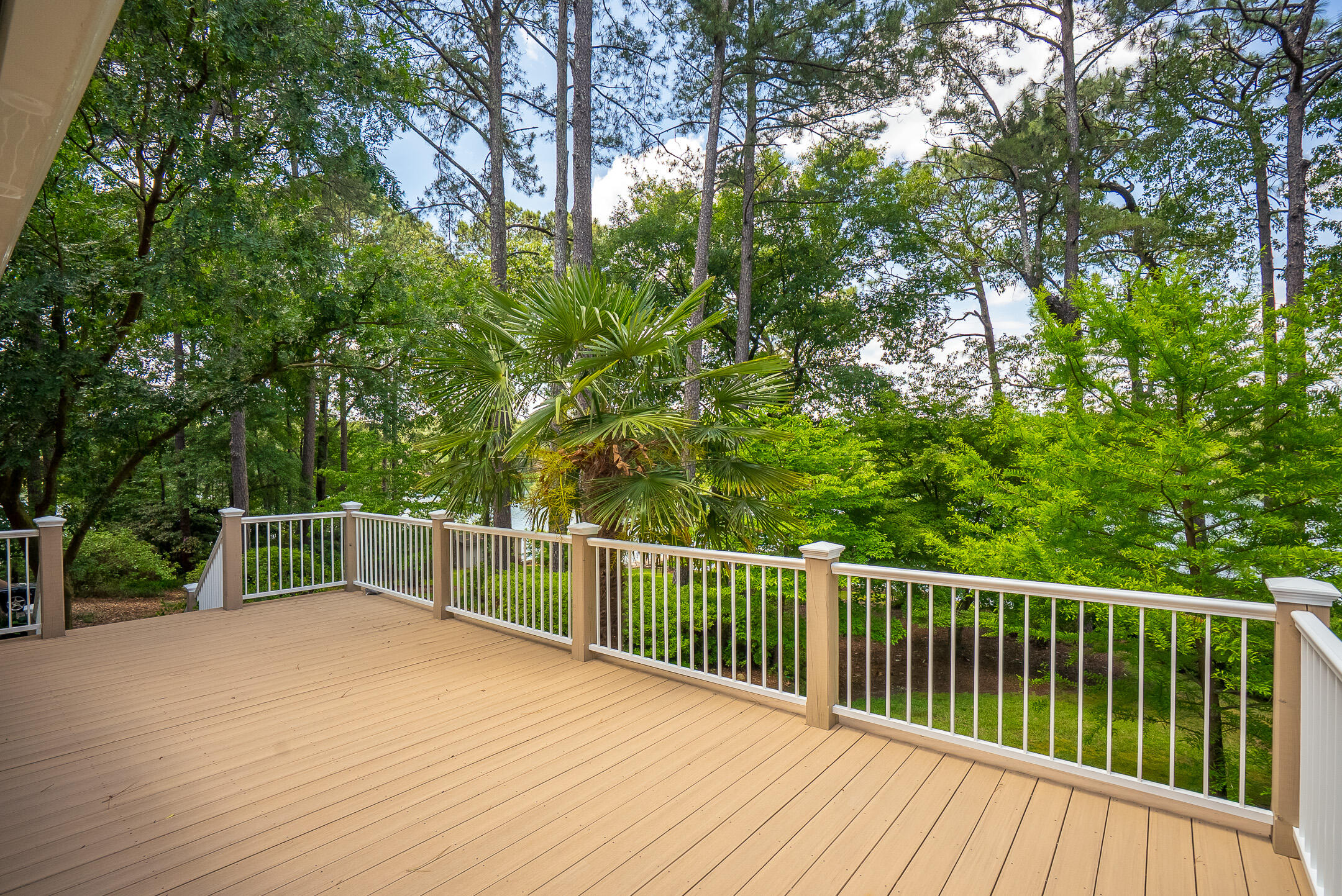 1049 Edisto Lake Road Wagener, SC 29164 - Photo 34 of 96