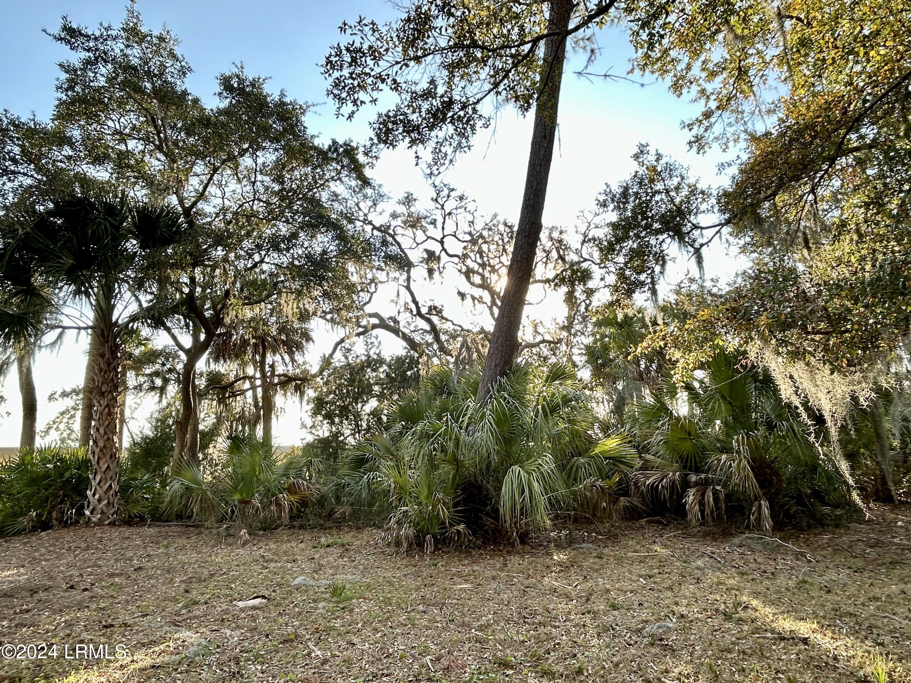 104 Willow Point Road Beaufort, SC 29906 - Photo 6 of 11 IMG_7833