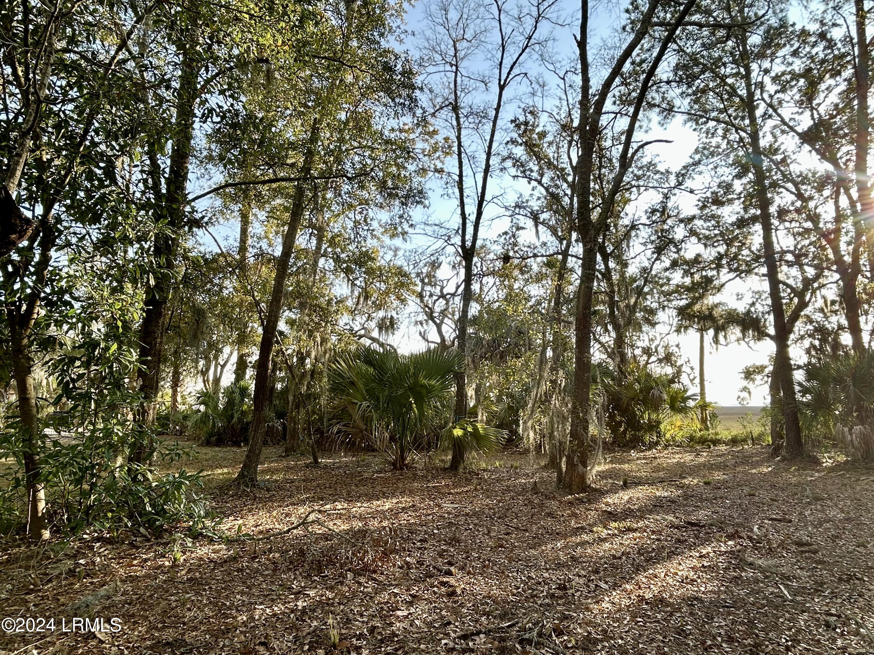 104 Willow Point Road Beaufort, SC 29906 - Photo 7 of 11 IMG_7827
