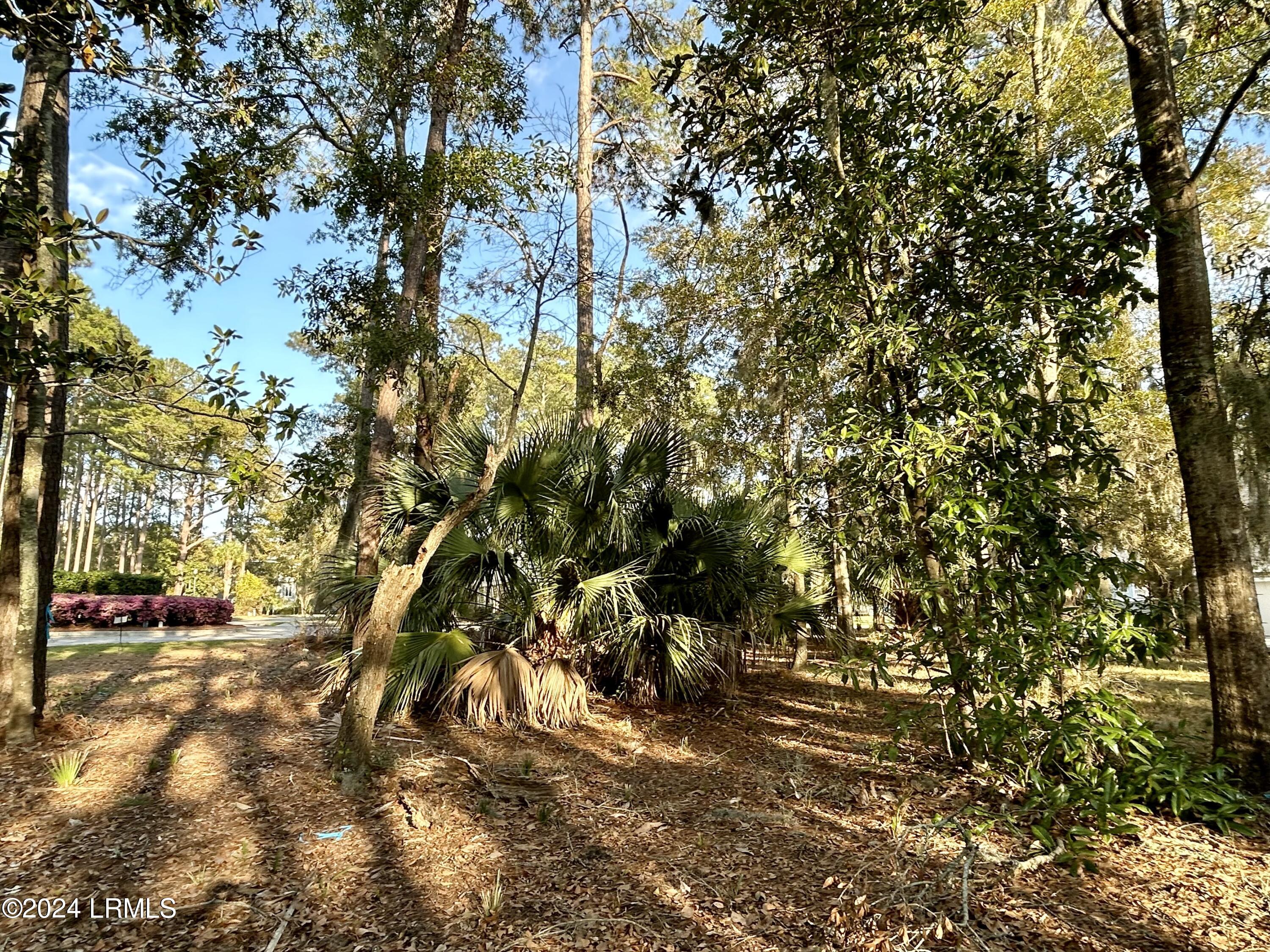 104 Willow Point Road Beaufort, SC 29906 - Photo 8 of 11 IMG_7828