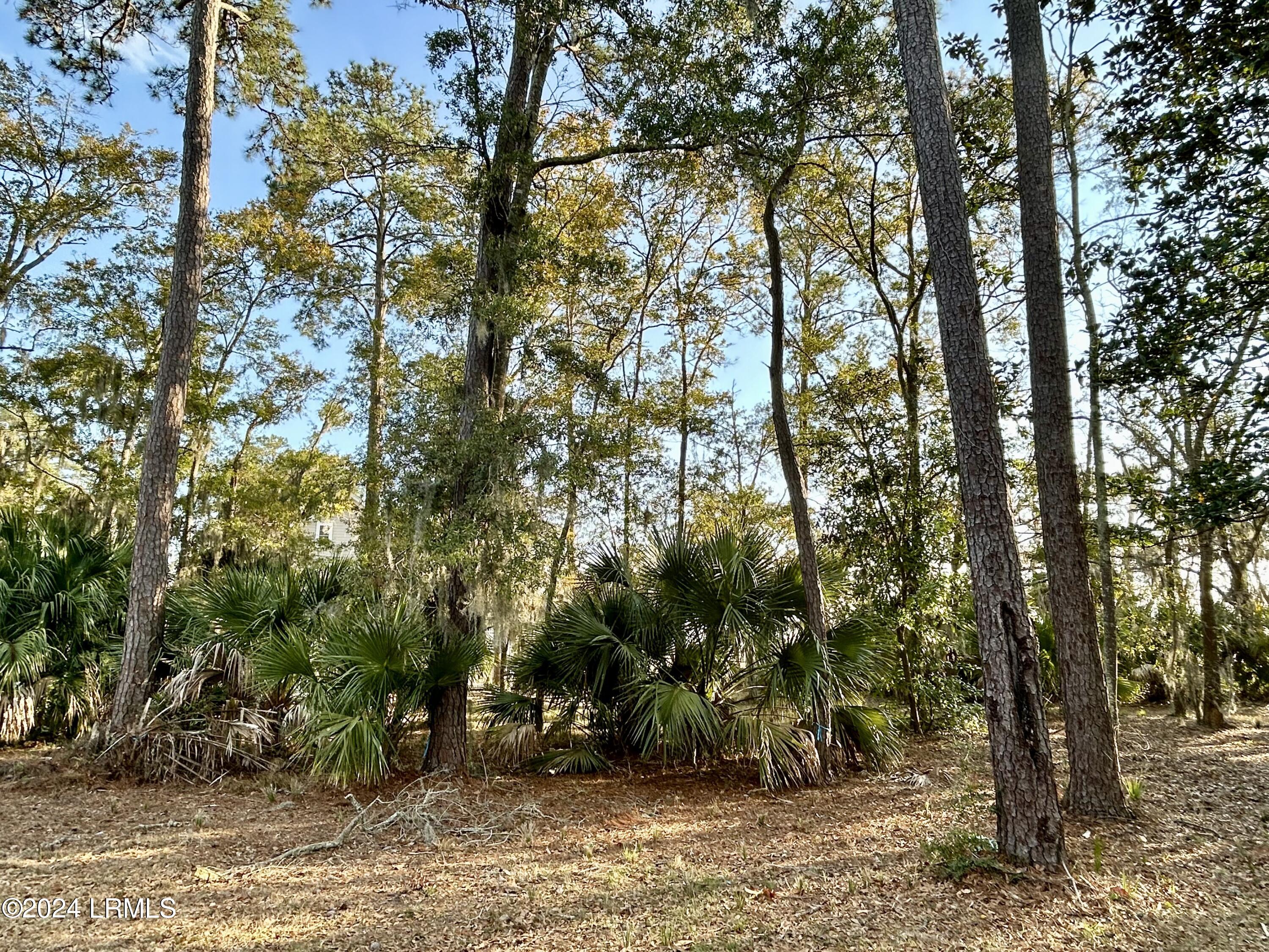 104 Willow Point Road Beaufort, SC 29906 - Photo 10 of 11 IMG_7834