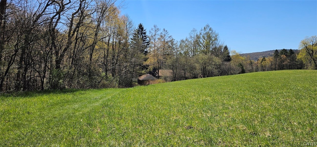1720 County Route 12 De Ruyter, NY 13052 - Photo 11 of 49