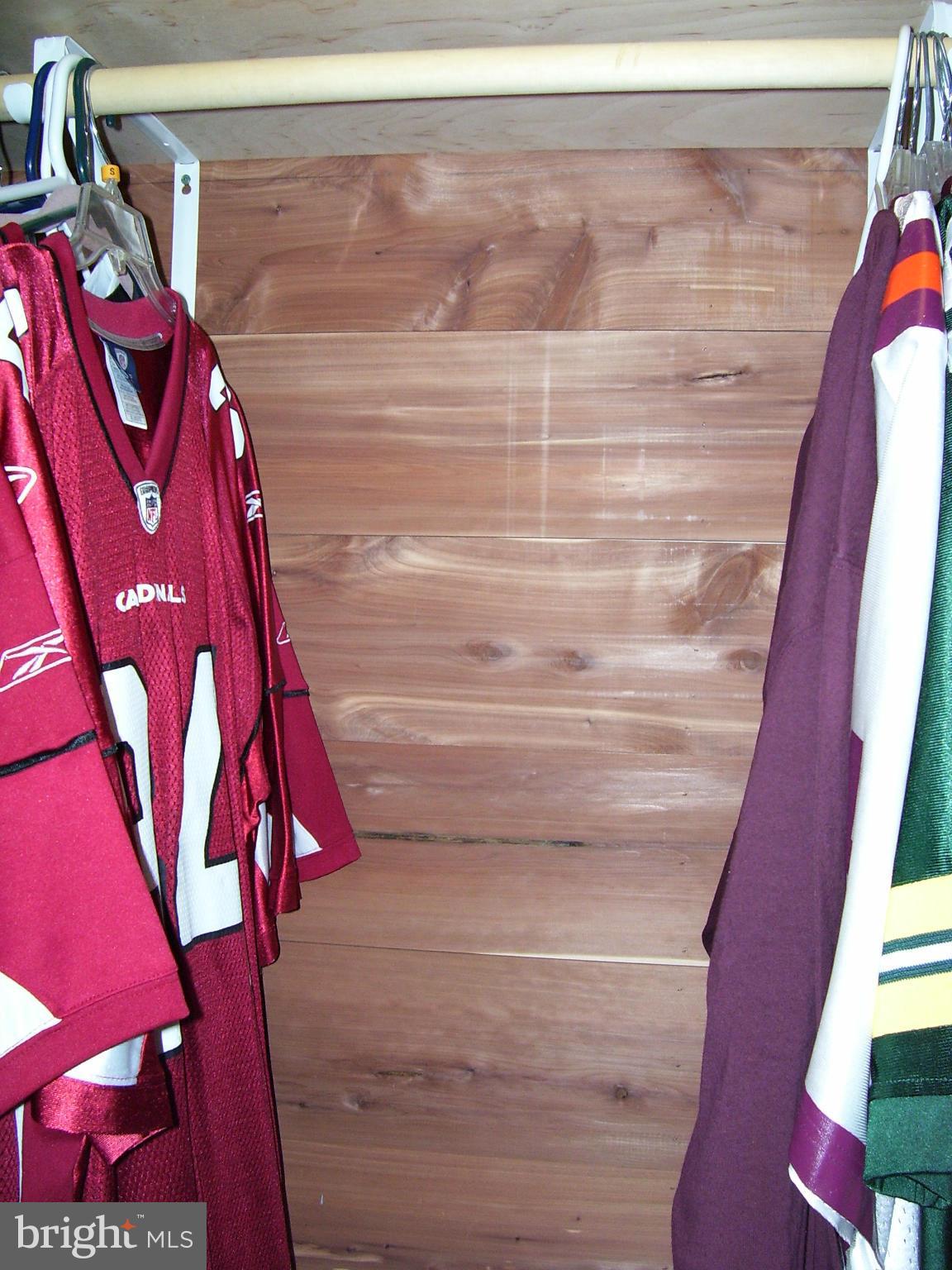 12004 Valcour Island Way Manassas, VA 20109 - Photo 20 of 28 Interior (General)