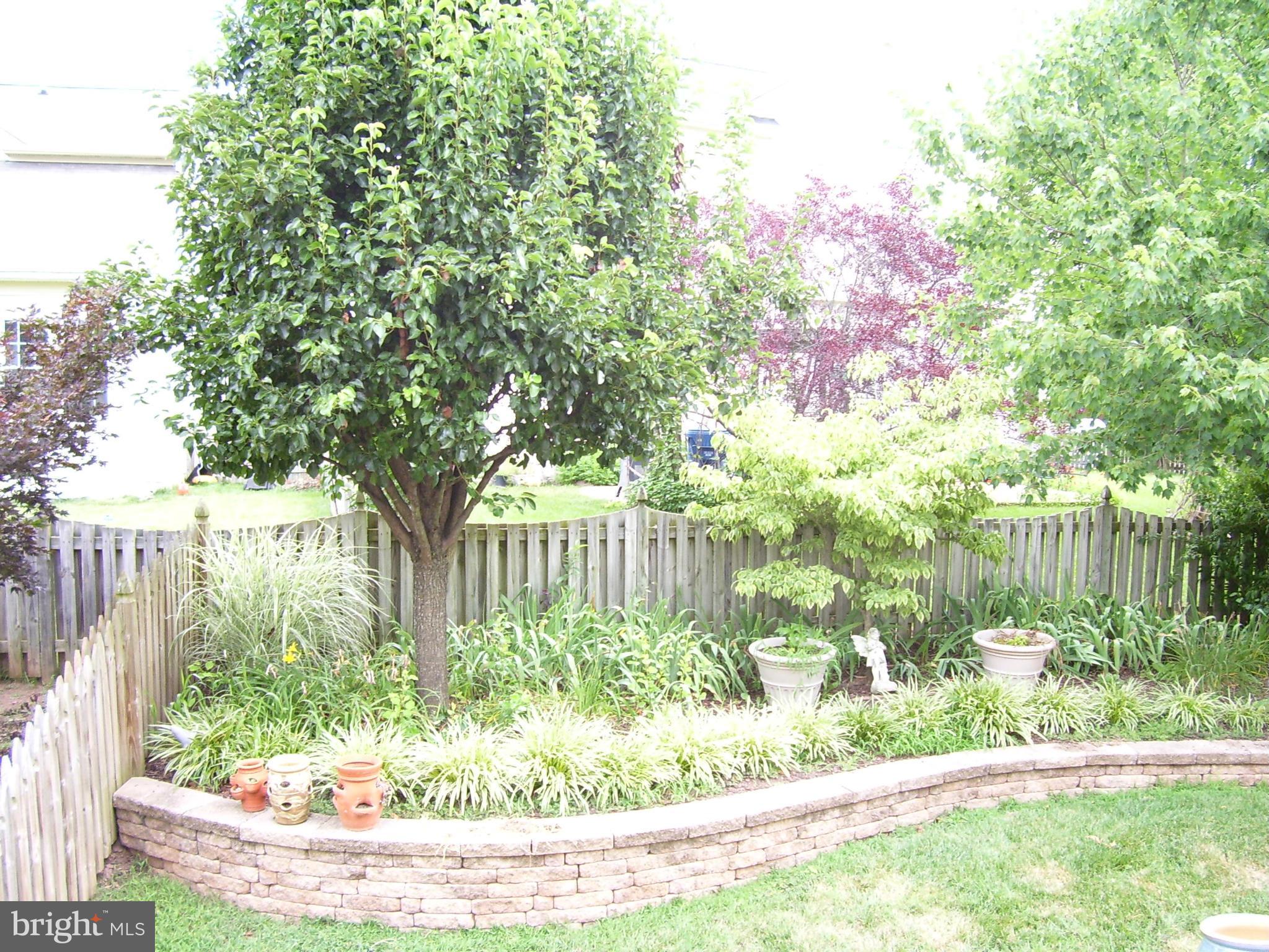 12004 Valcour Island Way Manassas, VA 20109 - Photo 24 of 28 Exterior (Rear)
