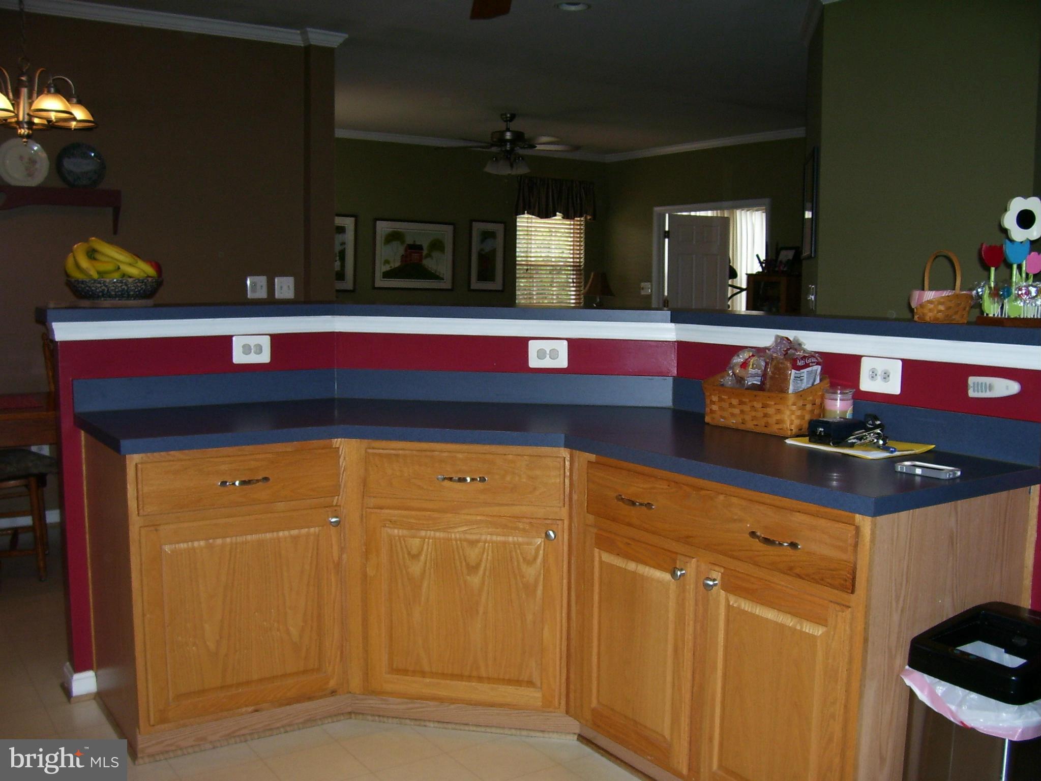 12004 Valcour Island Way Manassas, VA 20109 - Photo 4 of 28 Kitchen