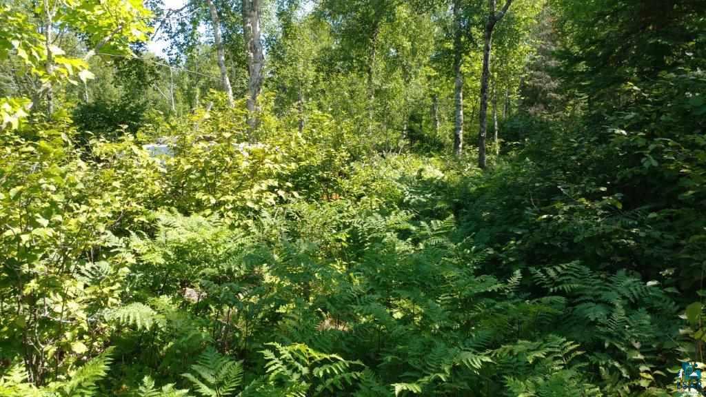 11299 West Willow Valley Road Orr, MN 55771 - Photo 8 of 14
