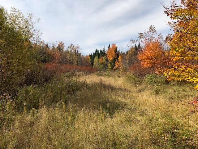 0 Bancroft Road Weston, ME 04424 - Photo 4 of 6 slamweston3