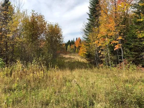 $34,900 | 0 Bancroft Road, Weston, ME 04424