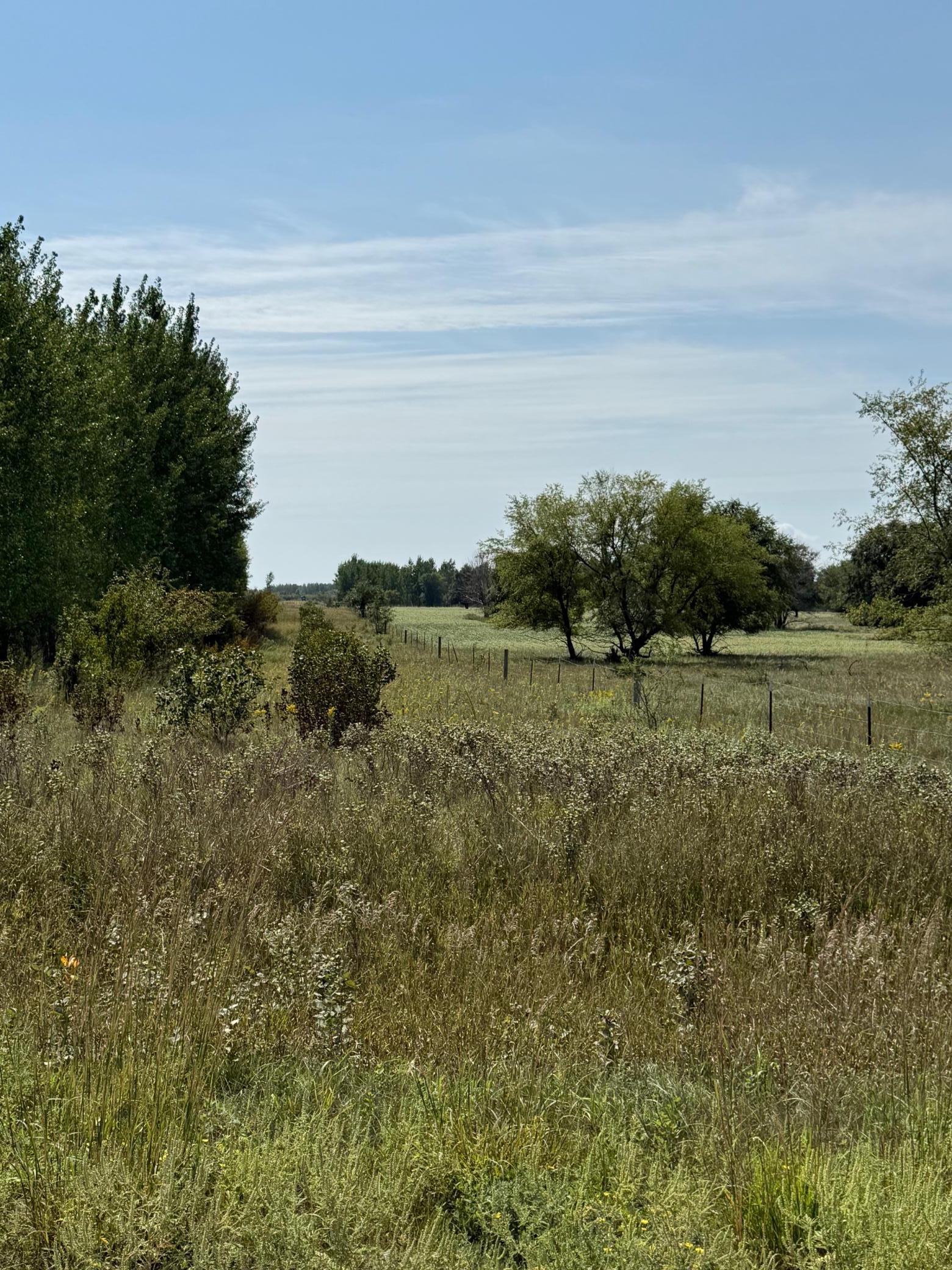 20371 180th Avenue North Ulen, MN 56585 - Photo 106 of 120