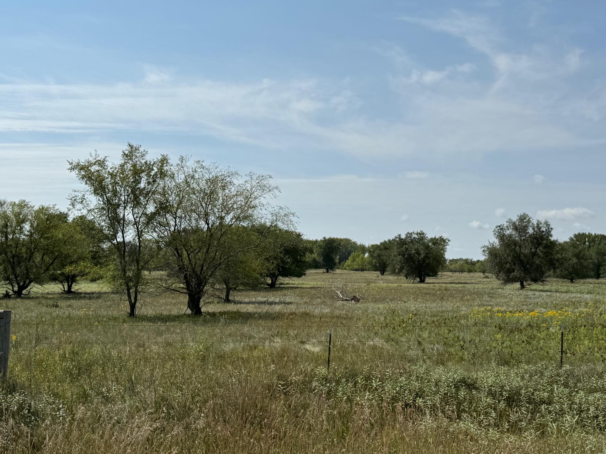 20371 180th Avenue North Ulen, MN 56585 - Photo 107 of 120