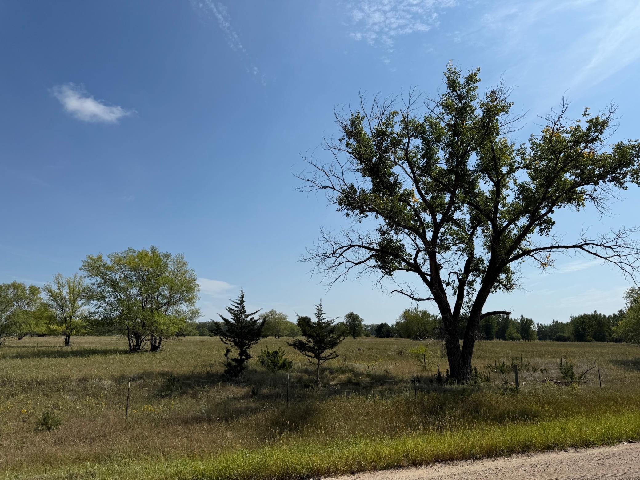 20371 180th Avenue North Ulen, MN 56585 - Photo 109 of 120