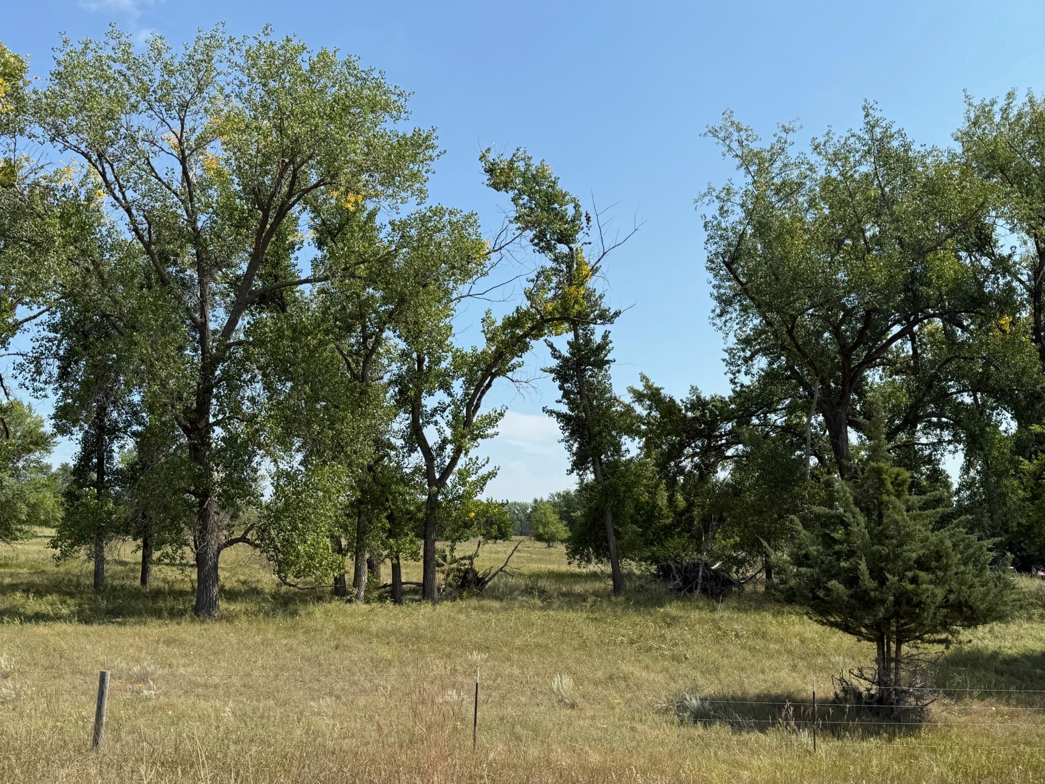 20371 180th Avenue North Ulen, MN 56585 - Photo 111 of 120