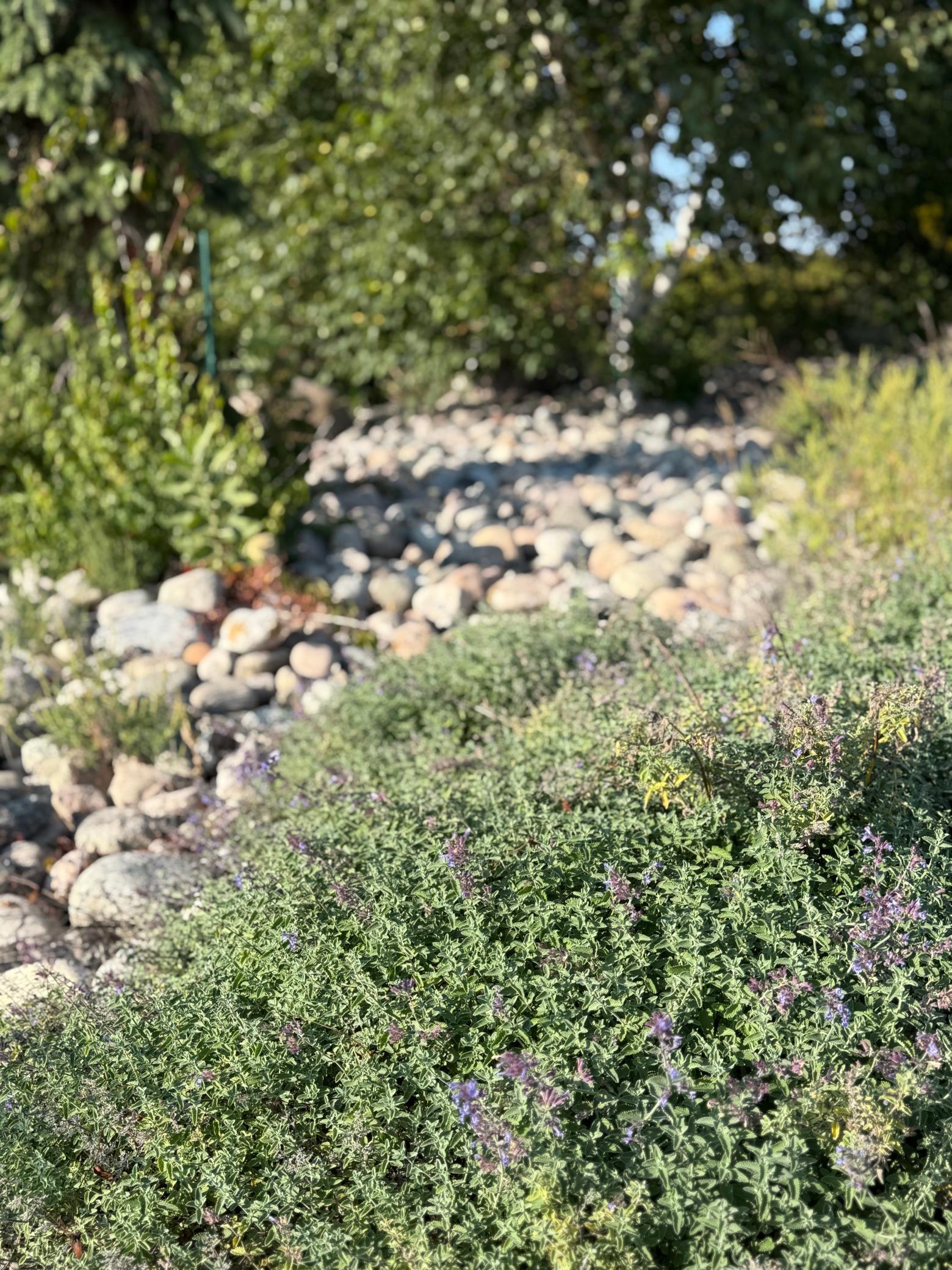 20371 180th Avenue North Ulen, MN 56585 - Photo 39 of 120