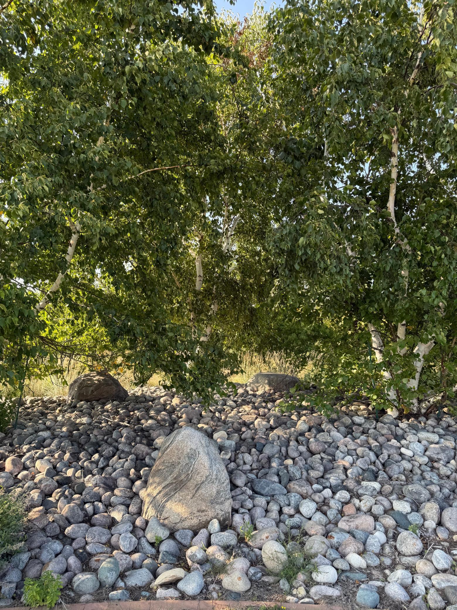 20371 180th Avenue North Ulen, MN 56585 - Photo 40 of 120