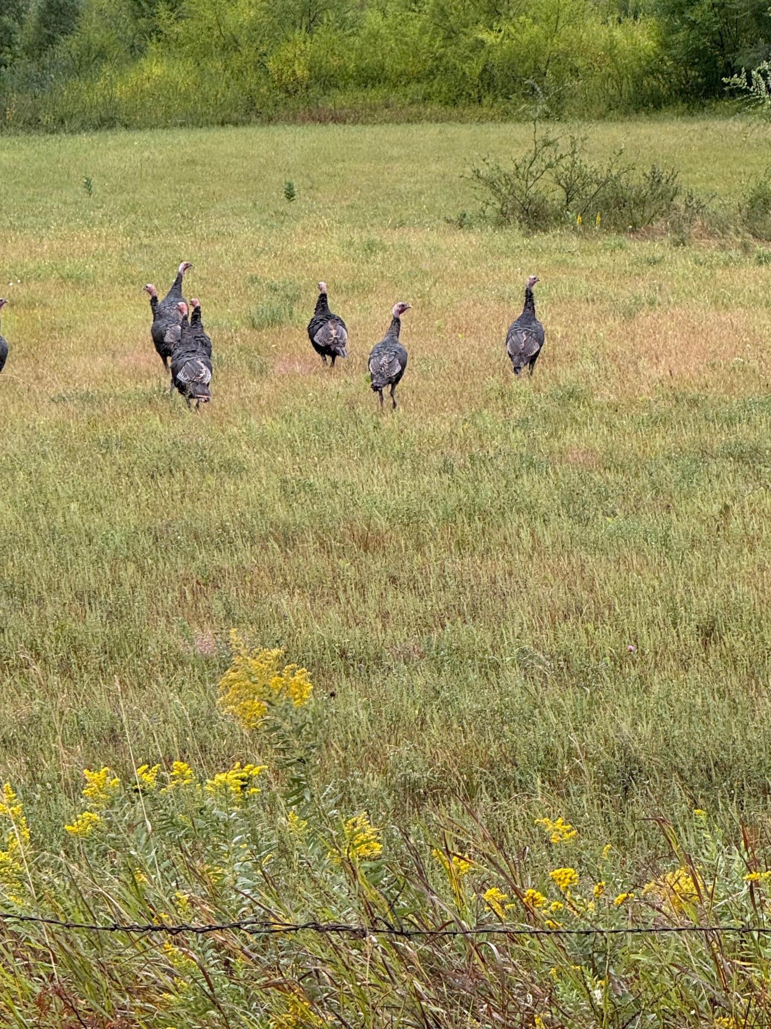 20371 180th Avenue North Ulen, MN 56585 - Photo 70 of 120