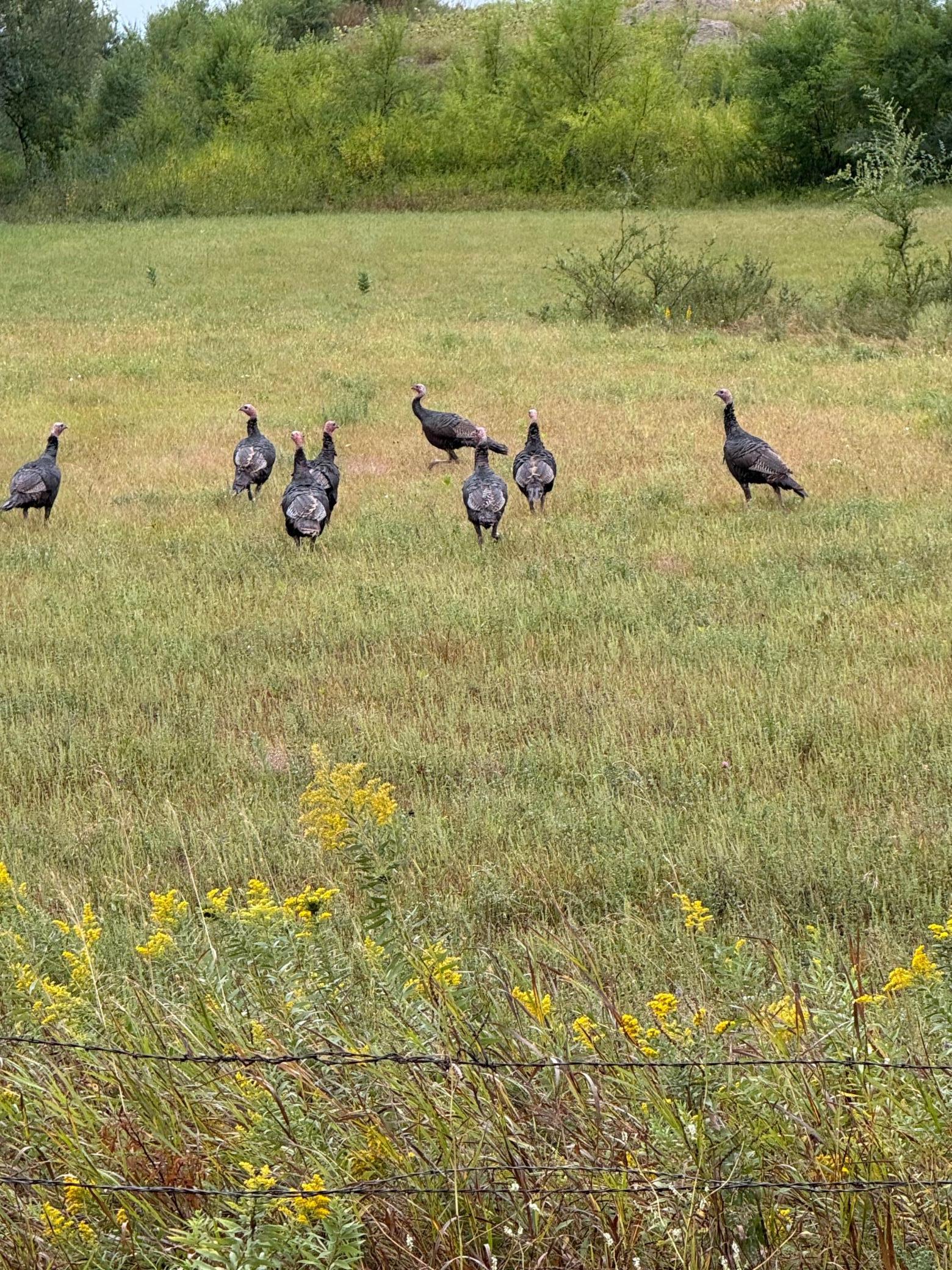 20371 180th Avenue North Ulen, MN 56585 - Photo 71 of 120