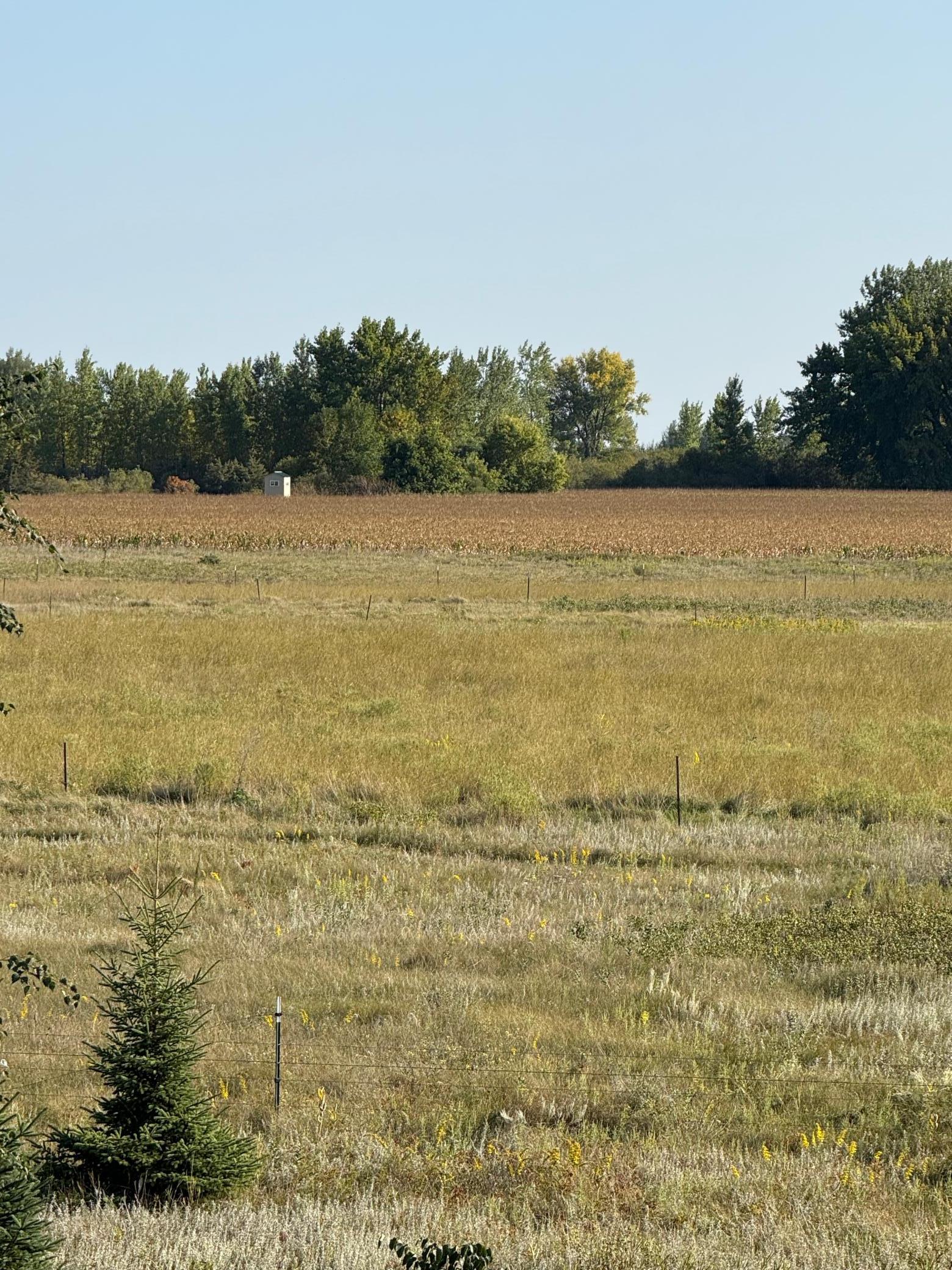 20371 180th Avenue North Ulen, MN 56585 - Photo 73 of 120