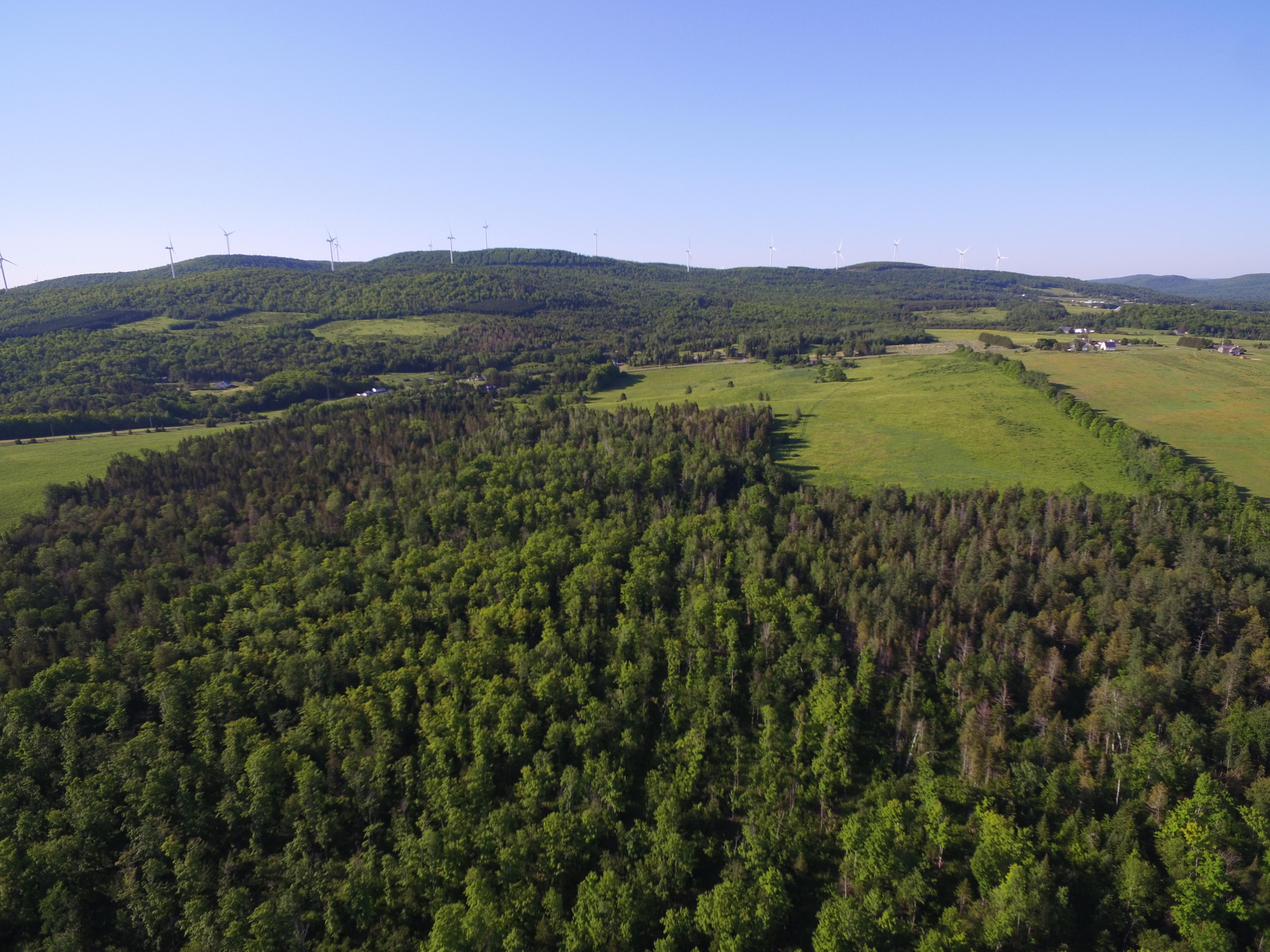 7 Map Road Oakfield, ME 04763 - Photo 16 of 27 DJI_0412