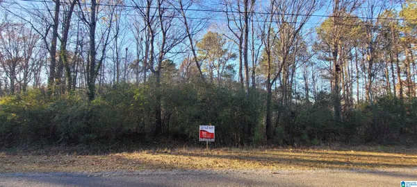 $11,500 | 0 Vista Drive, Unit 15, Oneonta, AL 35121