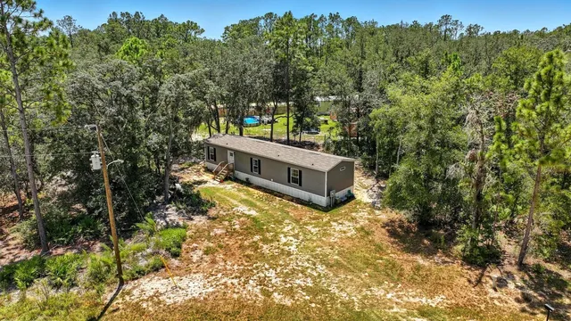 a view of a forest with trees