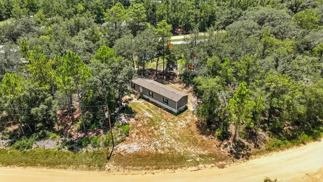 a picture of a tree in a yard