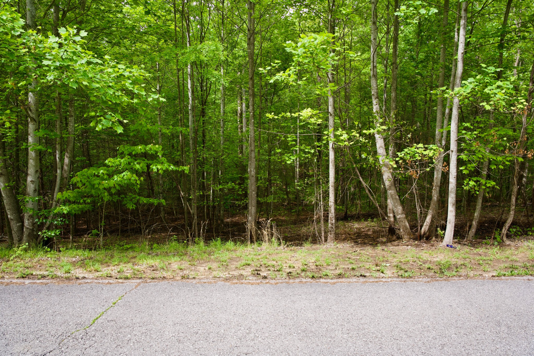 0 Hills Cemetery Road Spencer, TN 38585 - Photo 11 of 19 a backyard of a house with lots of green space