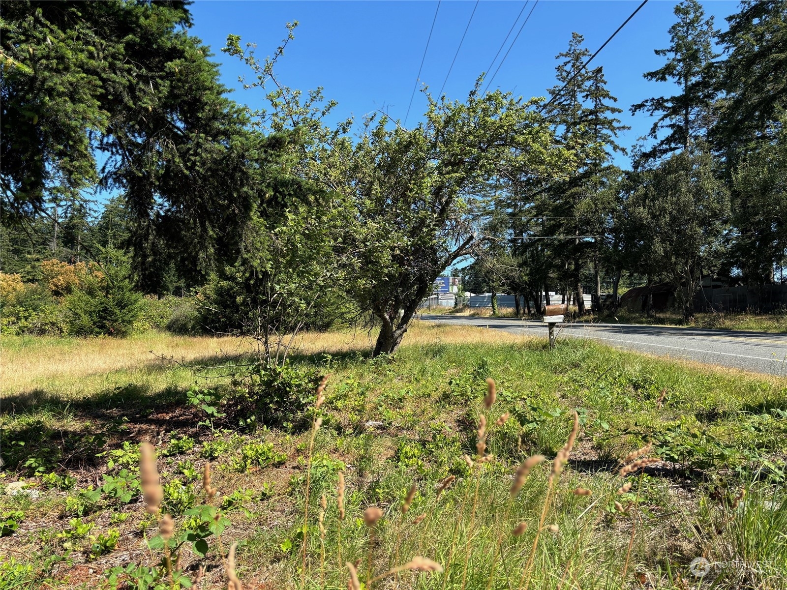1391 North Goldie Road Oak Harbor, WA 98277 - Photo 6 of 9 Gallery Image 6